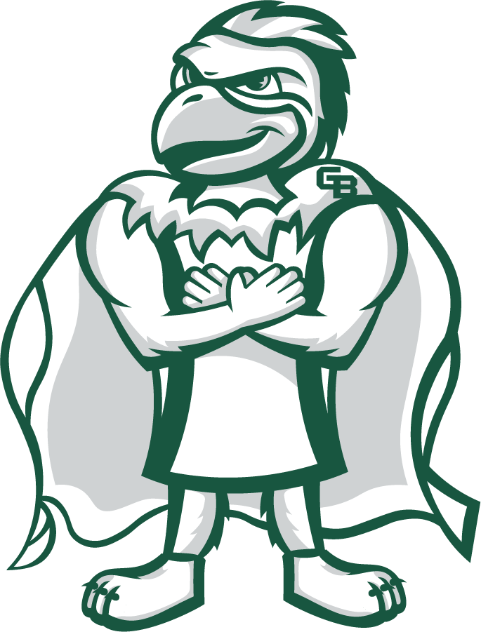 Wisconsin-Green Bay Phoenix 2020-Pres Mascot Logo diy DTF decal sticker